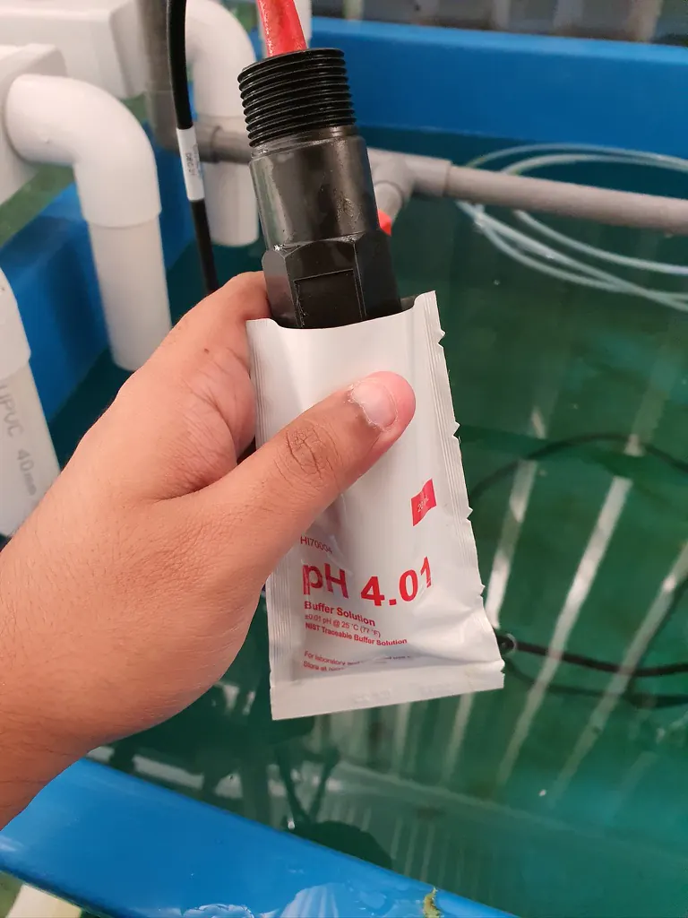 Atlas Scientific industrial pH probe with pH 4.01 calibration buffer