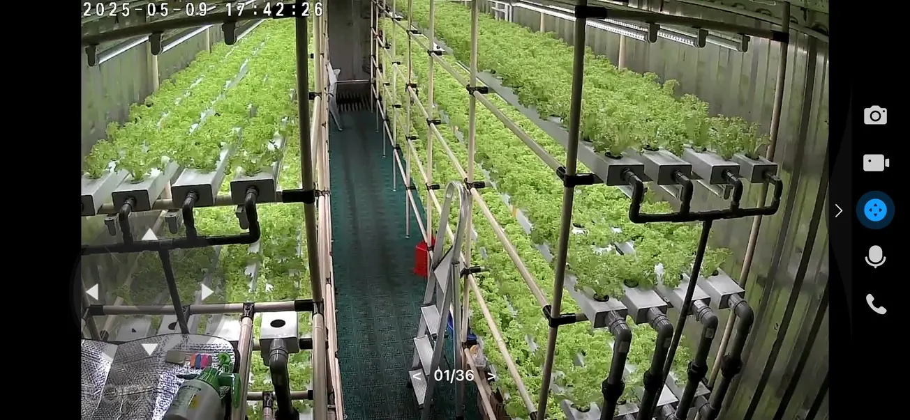 Indoor hydroponic growing racks with irrigation channels