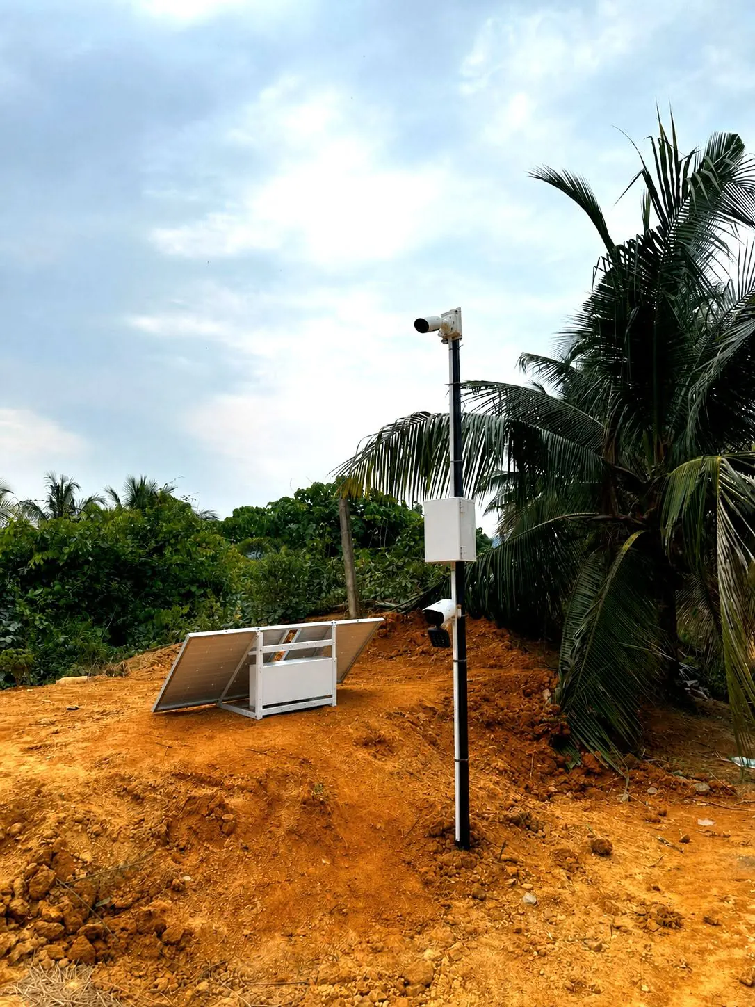 Milesight cameras installed beside solar panels in an oil palm estate